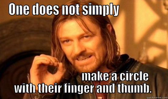 ONE DOES NOT SIMPLY                                               MAKE A CIRCLE WITH THEIR FINGER AND THUMB. Boromir