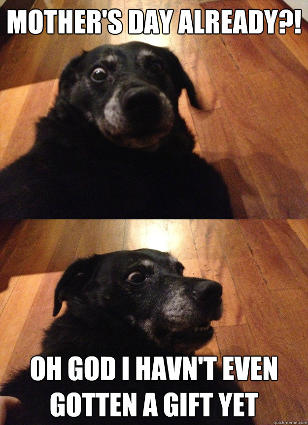 mother's day already?! Oh god I havn't even gotten a gift yet  suddenly sober dog