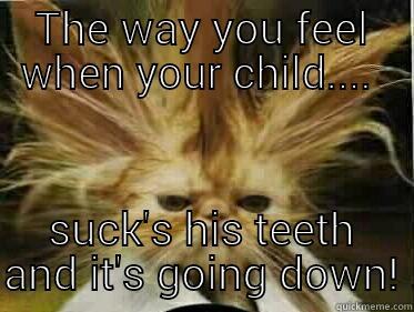 THE WAY YOU FEEL WHEN YOUR CHILD....  SUCK'S HIS TEETH AND IT'S GOING DOWN! Misc