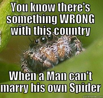 YOU KNOW THERE'S SOMETHING WRONG WITH THIS COUNTRY WHEN A MAN CAN'T MARRY HIS OWN SPIDER Misunderstood Spider