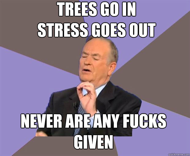 trees go in
stress goes out never are any fucks given  Bill O Reilly