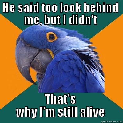 HE SAID TOO LOOK BEHIND ME, BUT I DIDN'T THAT'S WHY I'M STILL ALIVE Paranoid Parrot