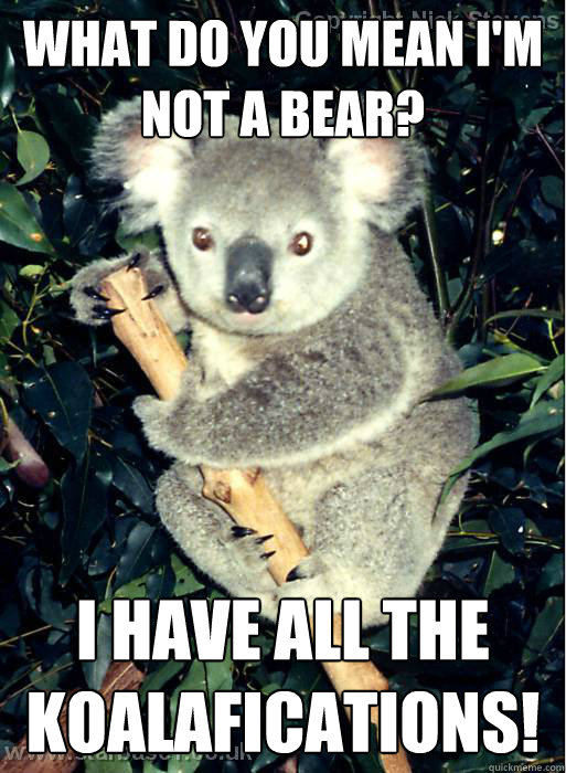 What Do You Mean I'm not a bear? I have all the Koalafications!  Koalafications Bear