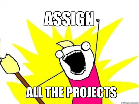 Assign ALL the projects  X All The Things