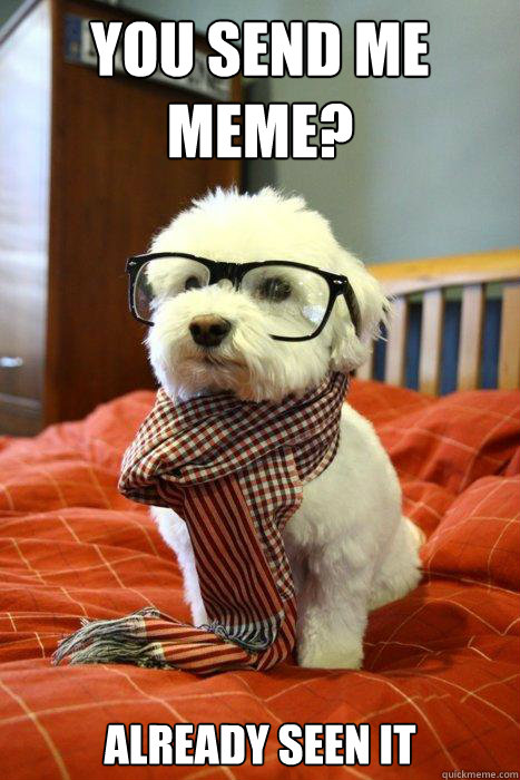 You send me meme? Already seen it  Hipster Dog
