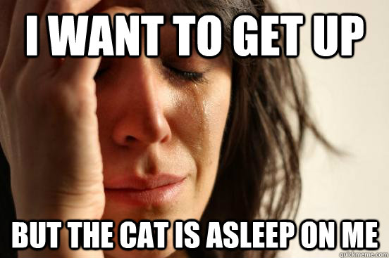 I want to get up but the cat is asleep on me  First World Problems