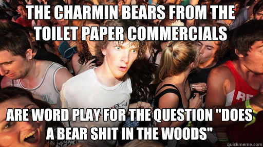 The charmin bears from the Toilet paper commercials Are word play for the question 