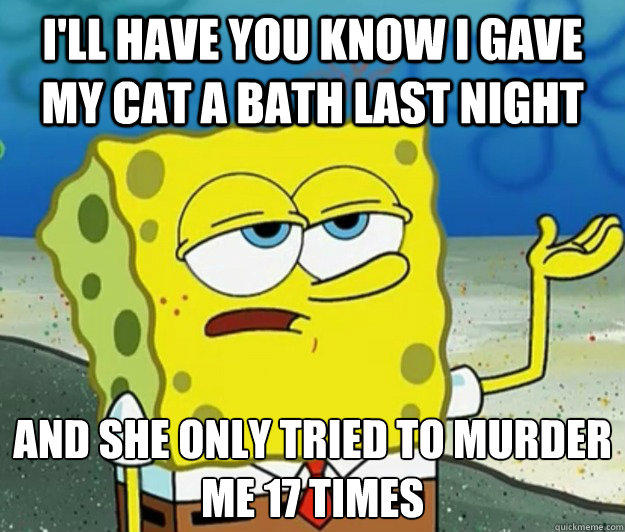 I'll have you know i gave my cat a bath last night and she only tried to murder me 17 times - I'll have you know i gave my cat a bath last night and she only tried to murder me 17 times  Tough Spongebob