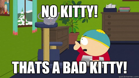 no kitty! thats a bad kitty!  cartman