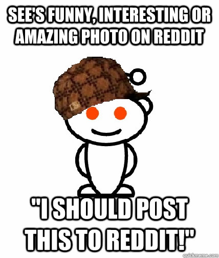 see's funny, interesting or amazing photo on reddit 