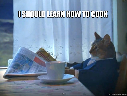 I should learn how to cook   The One Percent Cat