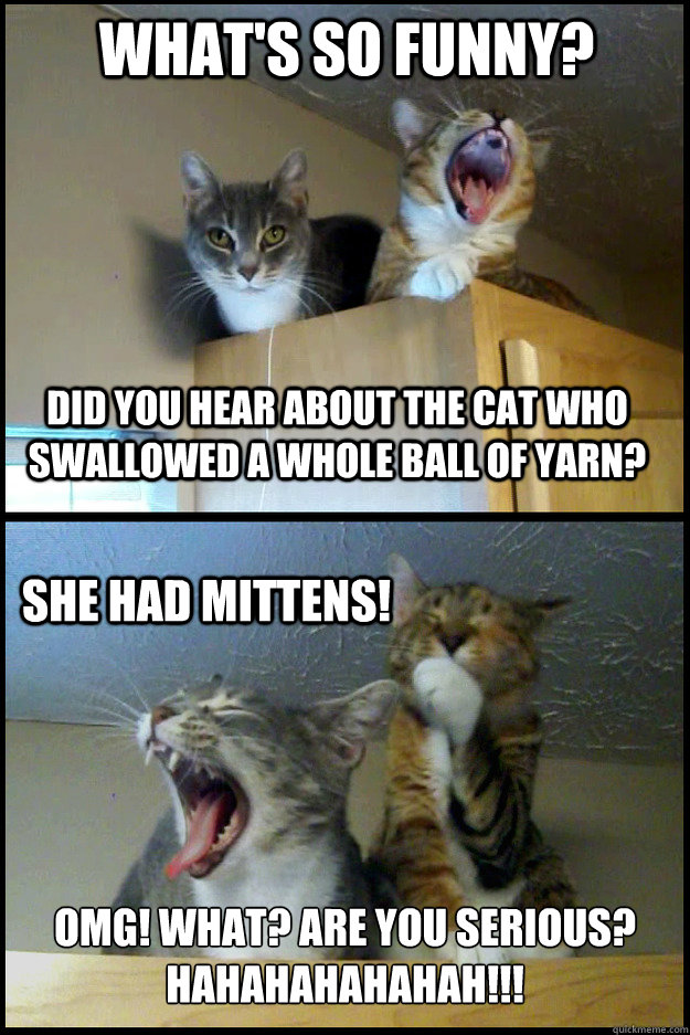 What's so funny? Did you hear about the cat who swallowed a whole ball of yarn? she had mittens! OMG! WHAT? ARE YOU SERIOUS?
HAHAHAHAHAHAH!!! - What's so funny? Did you hear about the cat who swallowed a whole ball of yarn? she had mittens! OMG! WHAT? ARE YOU SERIOUS?
HAHAHAHAHAHAH!!!  Corny Pun Kittens