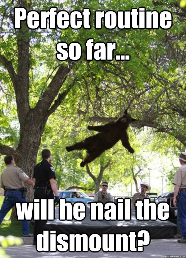 Perfect routine so far... will he nail the dismount? - Perfect routine so far... will he nail the dismount?  Misc
