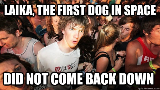 Laika, the first dog in space did not come back down  Sudden Clarity Clarence