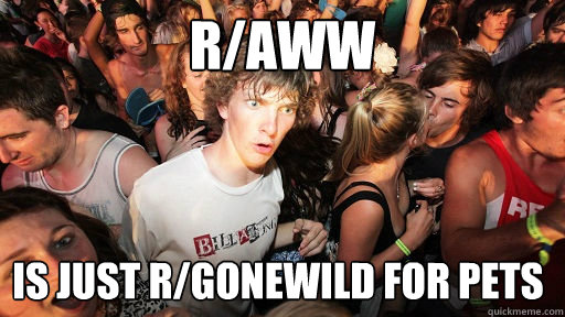 r/aww is just r/gonewild for pets  Sudden Clarity Clarence