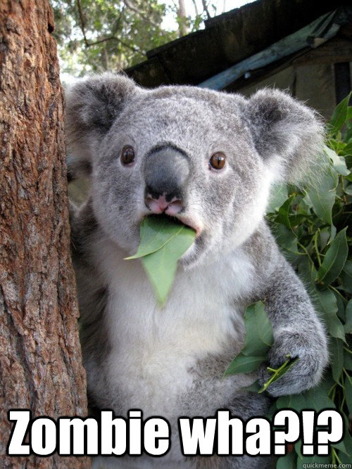  Zombie wha?!?  Surprised Koala