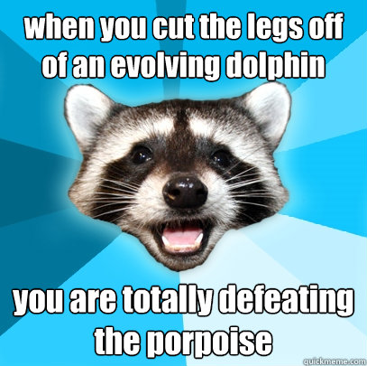 when you cut the legs off of an evolving dolphin you are totally defeating the porpoise  Lame Pun Coon