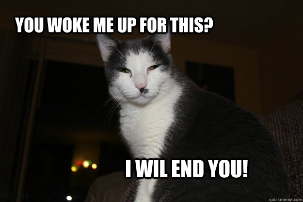 I wil end you! You woke me up for this?  