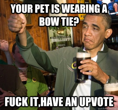 Your pet is wearing a bow tie? Fuck it,have an upvote  Upvote Obama