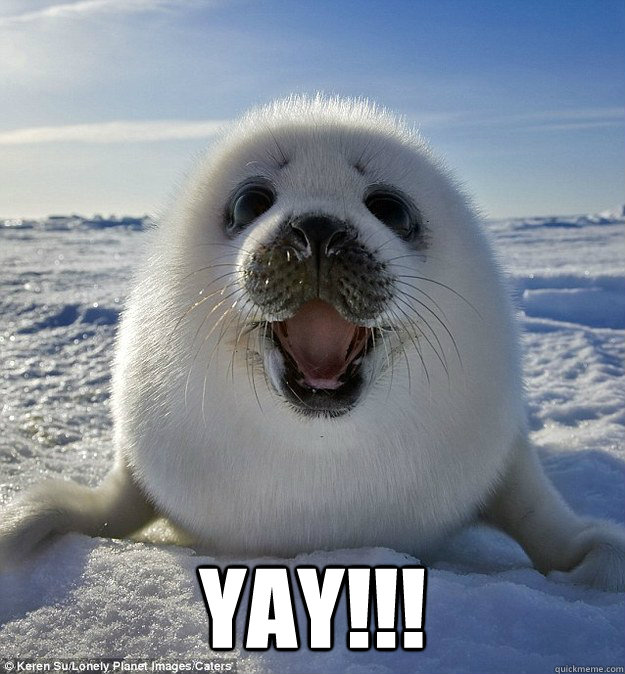  yAY!!!  Happy Weasel Seal