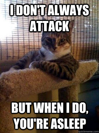 i don't always attack  but when I do, you're asleep  The Most Interesting Cat in the World