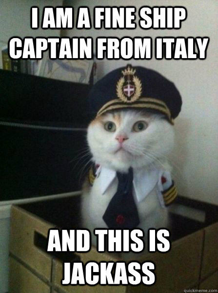 I am a fine ship captain from italy and this is jackass  Captain kitteh