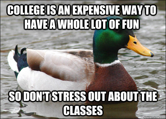 College is an expensive way to have a whole lot of fun So don't stress out about the classes - College is an expensive way to have a whole lot of fun So don't stress out about the classes  Actual Advice Mallard