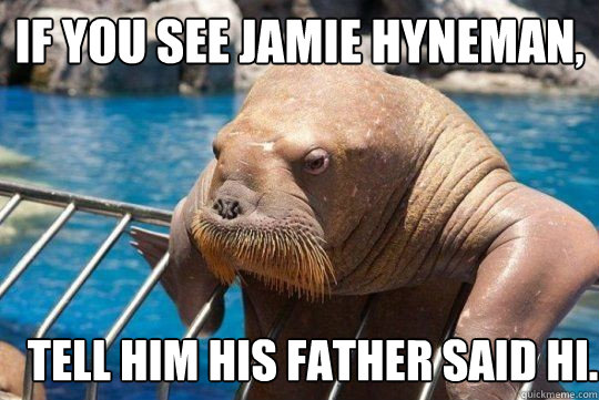 If you see Jamie Hyneman, tell him his father said hi. - If you see Jamie Hyneman, tell him his father said hi.  Soon walrus