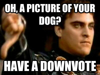Oh, a picture of your dog? Have a downvote  Downvoting Roman