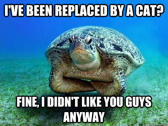 I've been replaced by a cat? Fine, i didn't like you guys anyway  Foch turtle