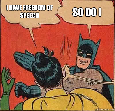 I have freedom of speech so do i  Batman Slapping Robin