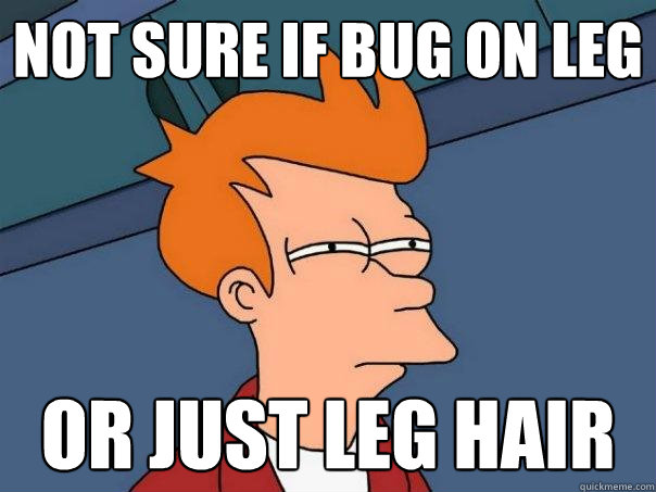 not sure if bug on leg or just leg hair  Futurama Fry