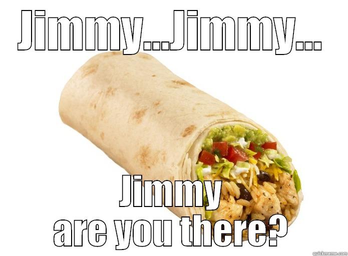 JIMMY...JIMMY... JIMMY ARE YOU THERE? Misc
