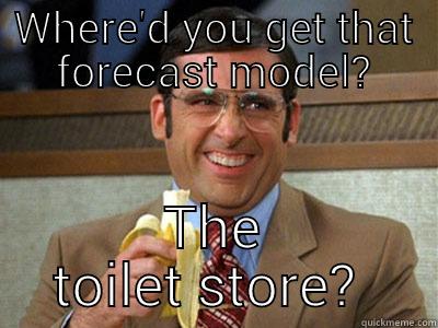 WHERE'D YOU GET THAT FORECAST MODEL? THE TOILET STORE?  Brick Tamland