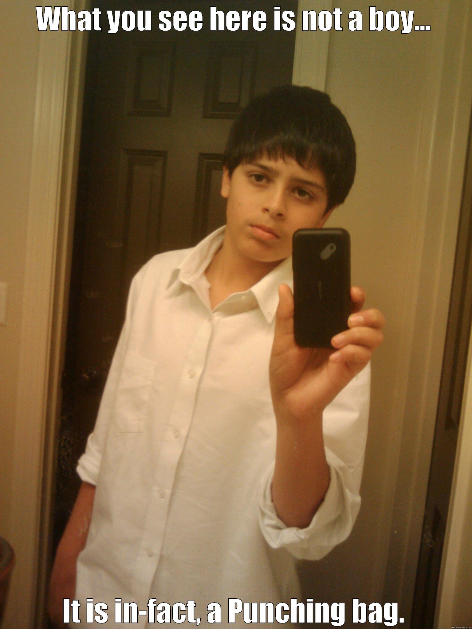 boy toy - WHAT YOU SEE HERE IS NOT A BOY... IT IS IN-FACT, A PUNCHING BAG. Misc