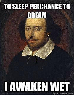 To sleep perchance to dream I awaken wet  Shakespeare Twin