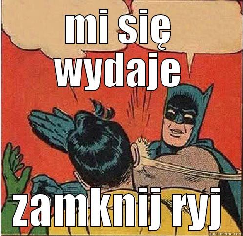 MI SIĘ WYDAJE ZAMKNIJ RYJ Batman Slapping Robin
