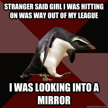 Stranger said girl I was hitting on was way out of my league I was looking into a mirror  Socially Insane Penguin