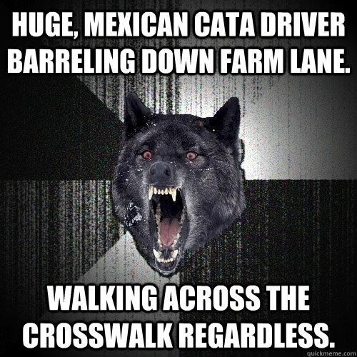 Huge, mexican CATA Driver barreling down Farm Lane.  Walking across the crosswalk regardless.  Insanity Wolf