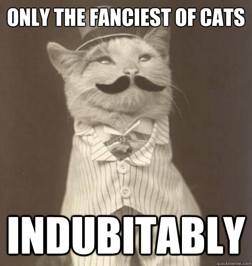 only the fanciest of cats indubitably  Original Business Cat