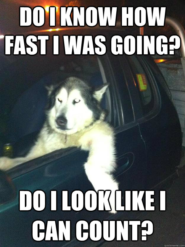 Do I know how fast I was going? Do I look like I can count?  Mean Dog