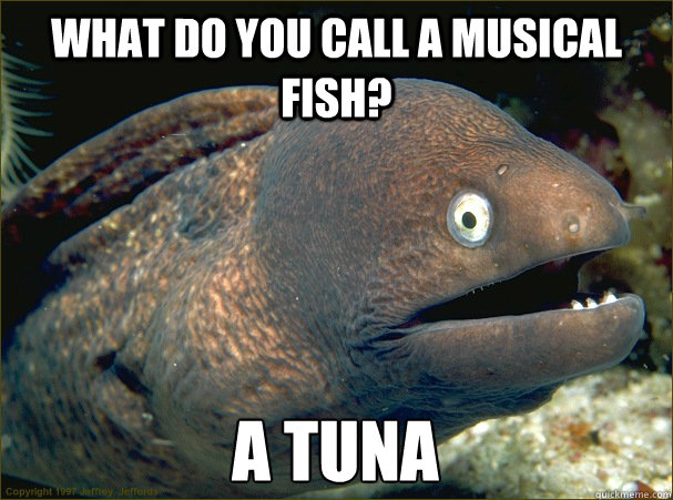 what do you call a musical fish? A Tuna - what do you call a musical fish? A Tuna  Bad Joke Eel