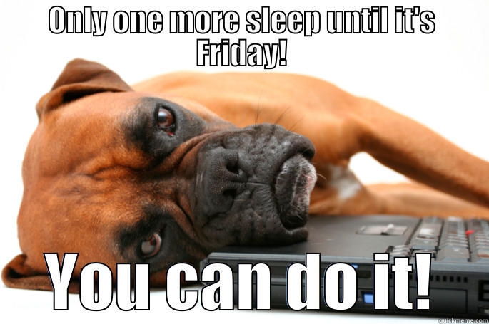 ONLY ONE MORE SLEEP UNTIL IT'S FRIDAY! YOU CAN DO IT! Misc