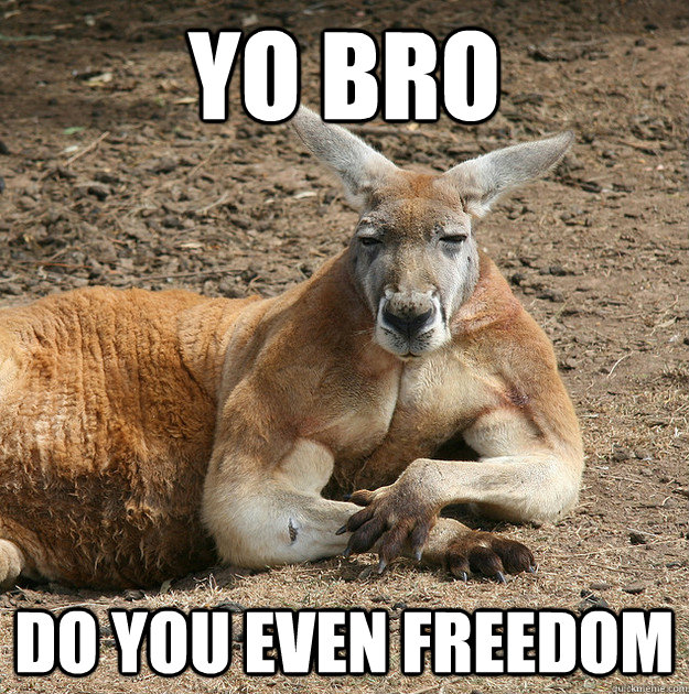 yo bro do you even freedom - yo bro do you even freedom  kangaroo bro