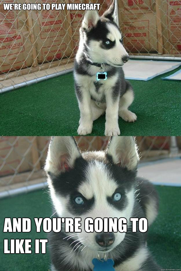 We're going to play minecraft and you're going to like it  Insanity puppy
