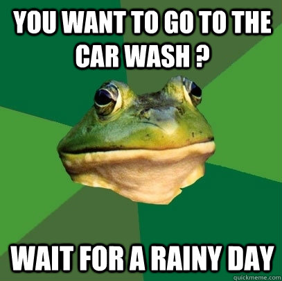 you want to go to the car wash ? wait for a rainy day  Foul Bachelor Frog