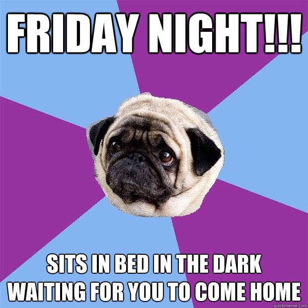 FRIDAY NIGHT!!! SITS IN BED IN THE DARK WAITING FOR YOU TO COME HOME  Lonely Pug