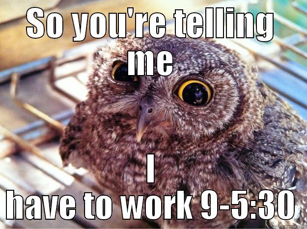 owl work all day - SO YOU'RE TELLING ME I HAVE TO WORK 9-5:30 Skeptical Owl