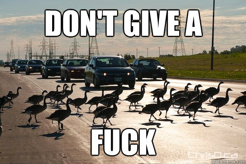 don't give a fuck  Xing