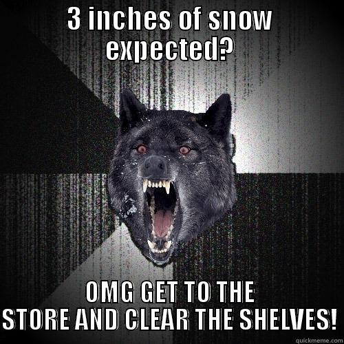 3 INCHES OF SNOW EXPECTED? OMG GET TO THE STORE AND CLEAR THE SHELVES! Insanity Wolf